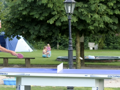 camping weideblik nabij Den Bosch