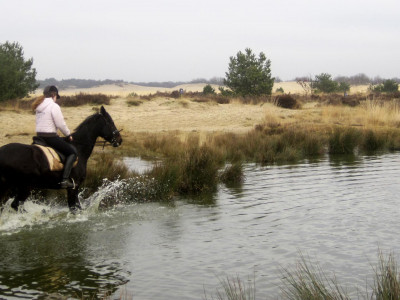 camping weideblik nabij loonse en drunense duinen2