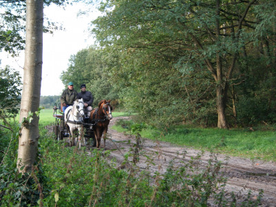 foto cursus les 2 2010 052